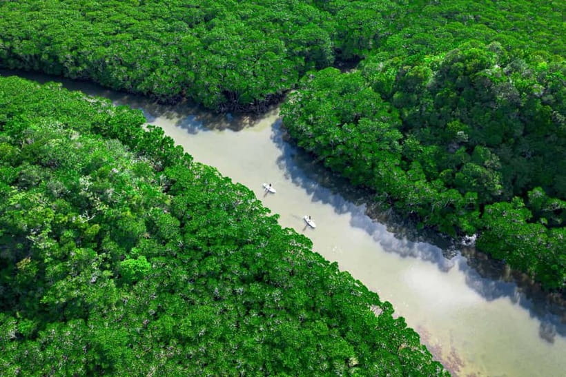 Ishigaki:Mangrove&Sea SUP/Kayak Tour with SLR&Drone footage - Starting at Fukidobashi Parking Lot