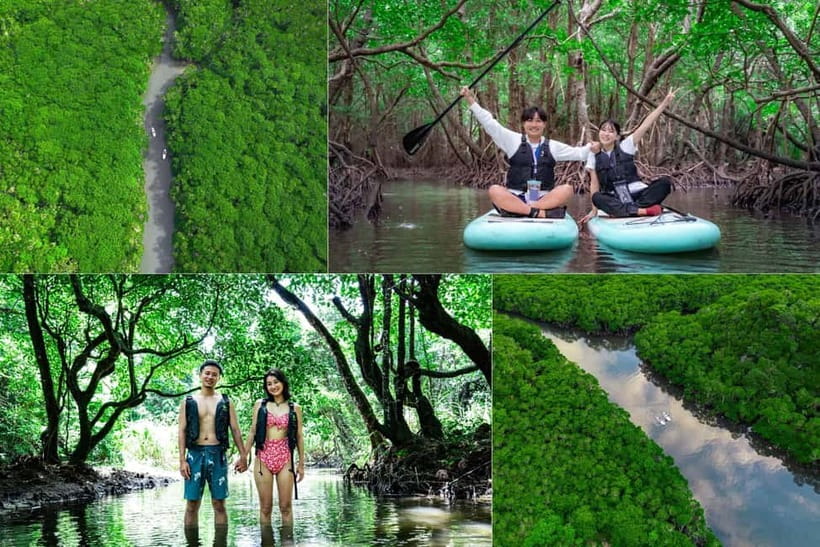Ishigaki:Mangrove&Sea SUP/Kayak Tour with SLR&Drone footage - Moving from mangrove shade to open sea