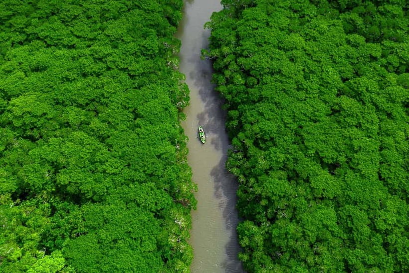 Ishigaki:Mangrove&Sea SUP/Kayak Tour with SLR&Drone footage - Weather, tides, and the flexible schedule