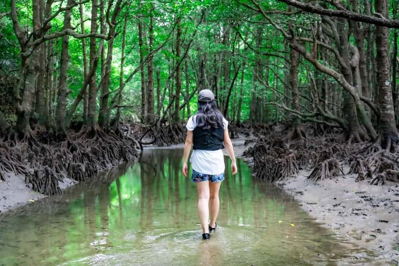 Ishigaki:Mangrove&Sea SUP/Kayak Tour with SLR&Drone footage - Who will enjoy this most
