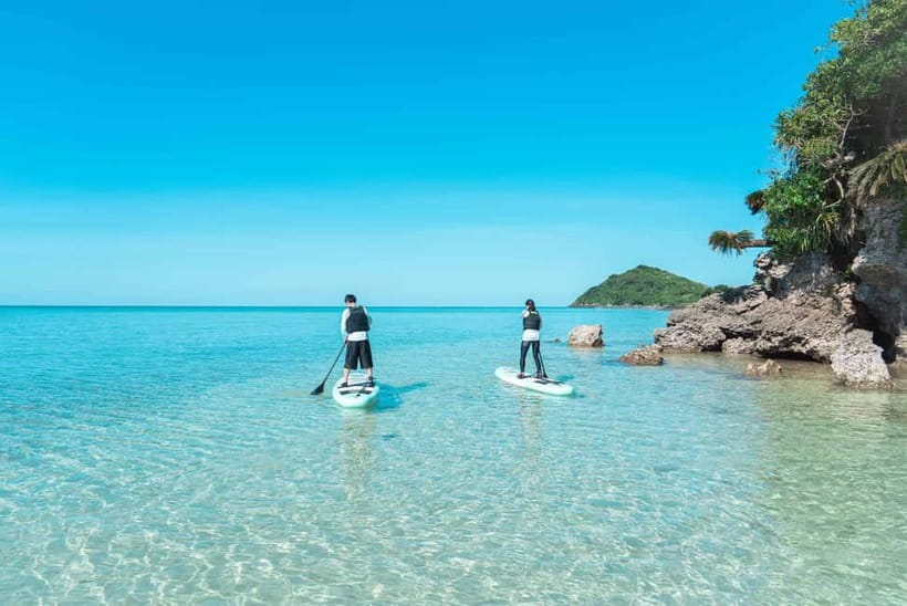 Ishigaki:Mangrove&Sea SUP/Kayak Tour with SLR&Drone footage - What the strongest praise tells you