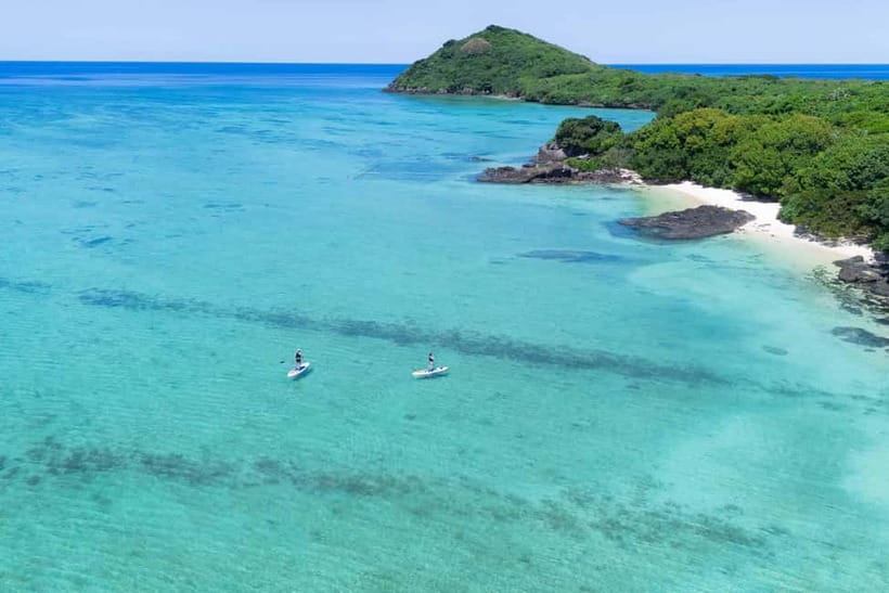 Ishigaki:Mangrove&Sea SUP/Kayak Tour with SLR&Drone footage - Should you book the Ishigaki mangrove and sea tour?
