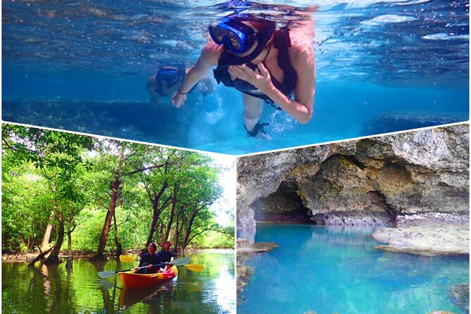 [Ishigaki]Mangrove SUP/Canoe + Blue Cave Snorkeling - Key points before you book