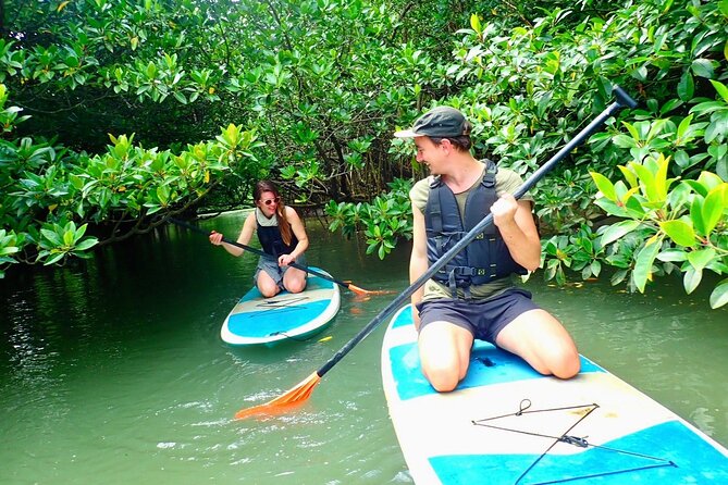 [Ishigaki]Mangrove SUP/Canoe + Blue Cave Snorkeling - Snorkeling around Ishigaki’s Blue Cave