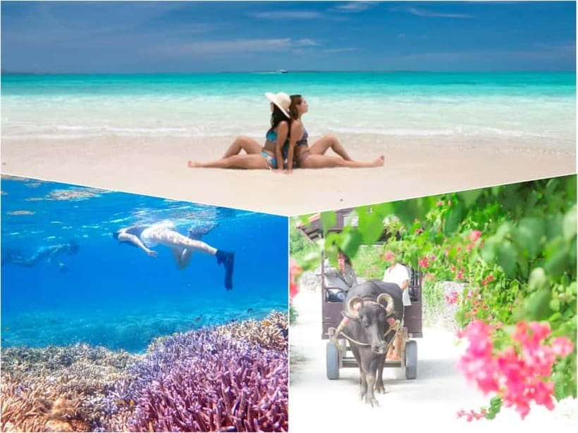 Ishigaki: Phantom Island Snorkeling and Taketomi Sightseeing - Guided snorkeling near Okinawa’s top water