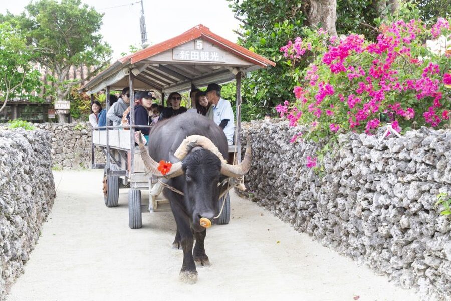Ishigaki: Phantom Island Snorkeling and Taketomi Sightseeing - Taketomi Island without a guide