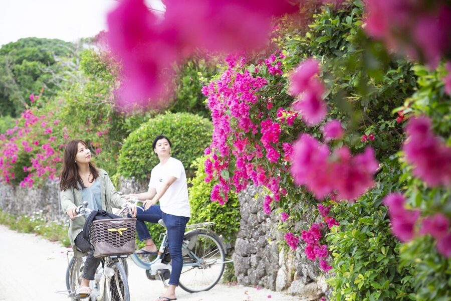 Ishigaki: Phantom Island Snorkeling and Taketomi Sightseeing - Who should book this outing