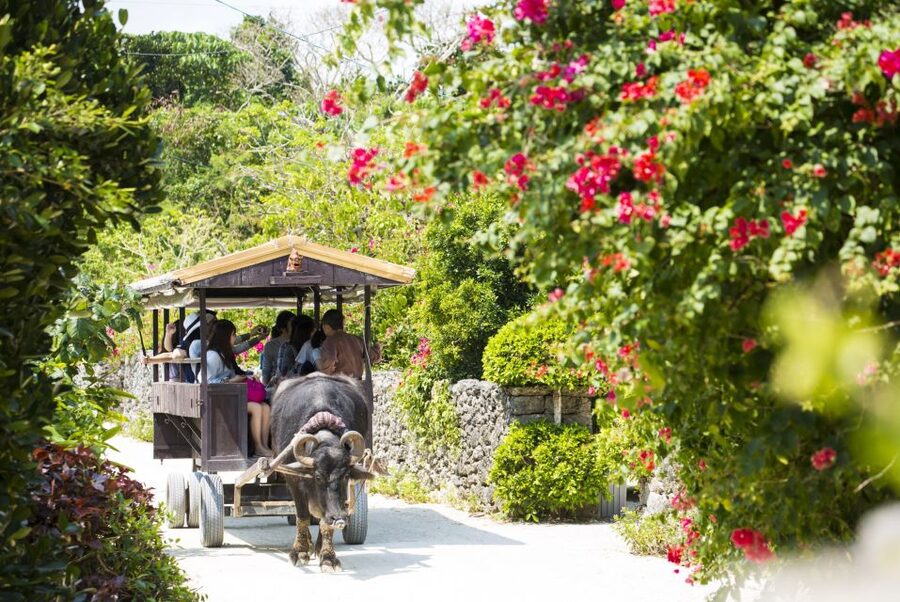 Ishigaki: Phantom Island Snorkeling and Taketomi Sightseeing - Simple preparation for a smoother day