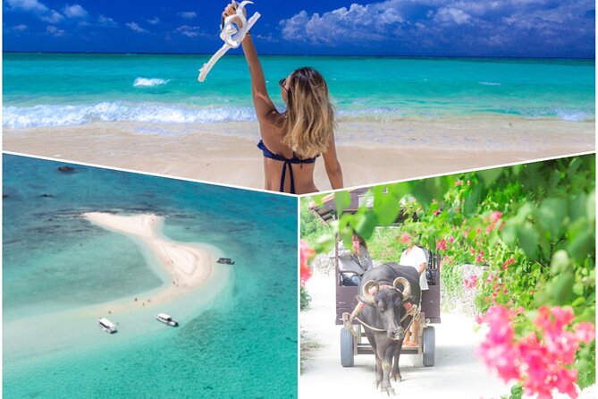 Ishigaki Phantom Island Snorkeling Taketomi Island Sightseeing - Key points at a glance