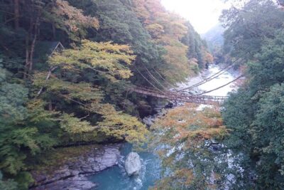 Iya Valley BROMPTON Slow Cycling Tour