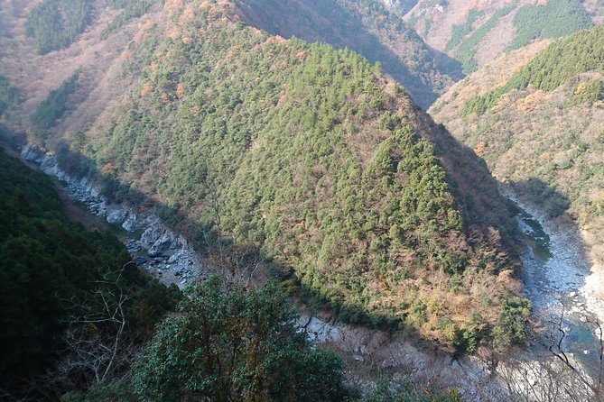 Iya Valley BROMPTON Slow Cycling Tour - Who will enjoy this ride most