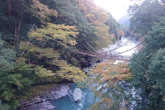 Iya Valley BROMPTON Slow Cycling Tour - Starting at Awa-Ikeda Station at 10:45 am