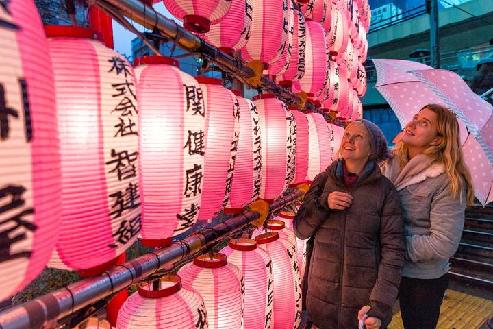 Japan Adventure 13 Day by INTRO Travel - Tokyo to Kyoto Review - FAQ