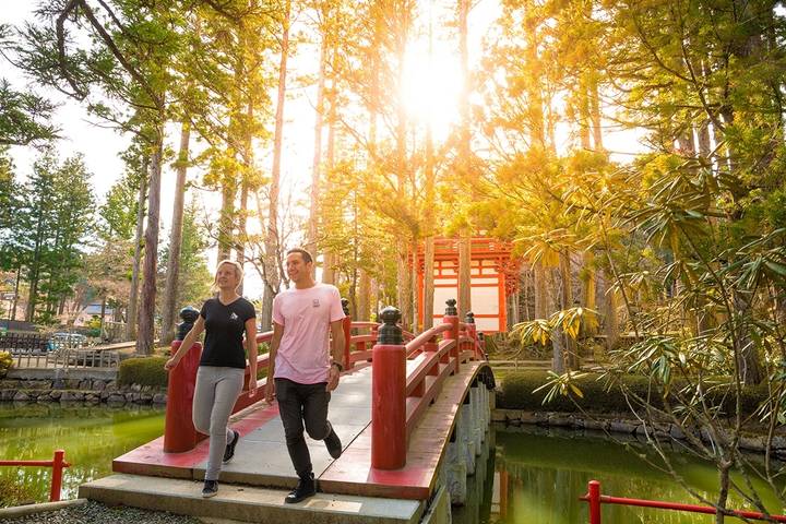 Japan Adventure 13 Day by INTRO Travel - Tokyo to Kyoto Review - Kyoto: Gion, bamboo, and the final sword lesson