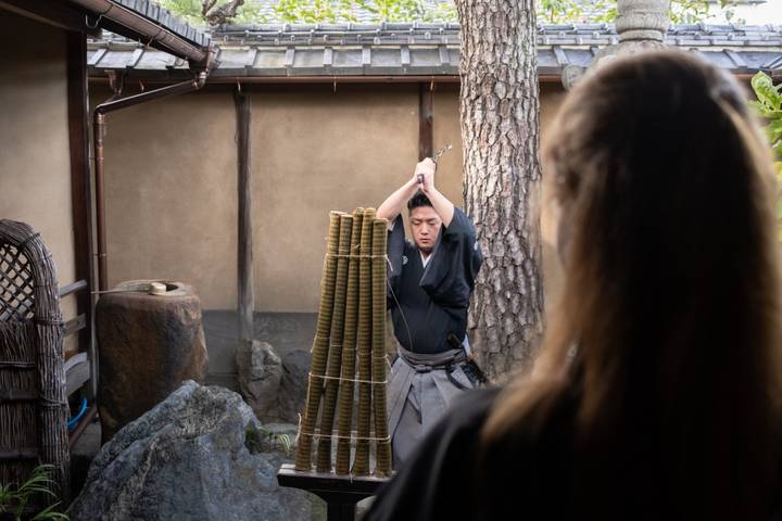 Japan Adventure 17 Day by INTRO Travel - Tokyo to Kyoto Review - Should you book Japan Adventure 17 Day?
