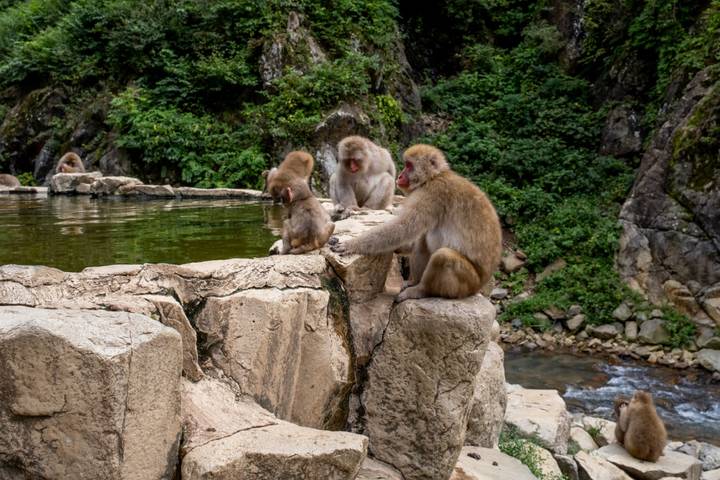 Japan Adventure 17 Day by INTRO Travel - Tokyo to Kyoto Review - Kyoto’s shrines, bamboo and samurai practice