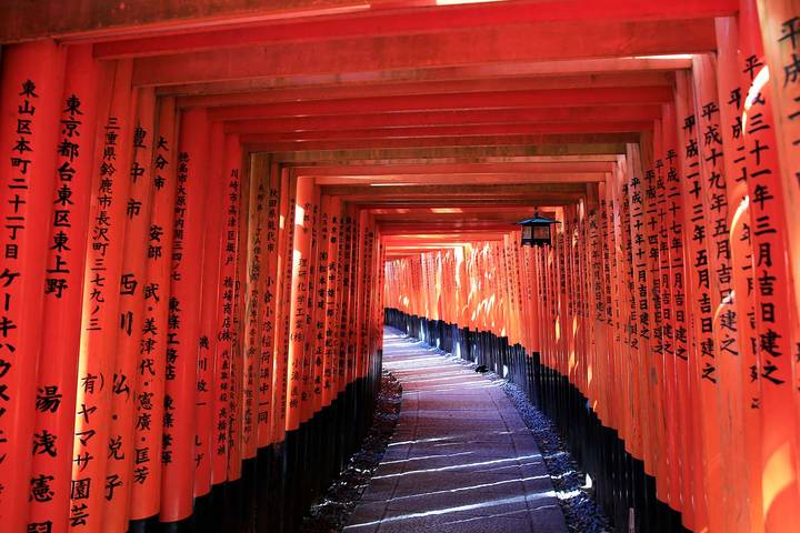 Japan Autumn Tour Inclu. Kumano Kodo Trail by Odynovo - 14 Days Review - Kyoto temples, market snacks and Arashiyama