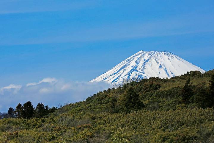 Japan Autumn Tour Inclu. Kumano Kodo Trail by Odynovo - 14 Days Review - What the $6,325 starting price covers