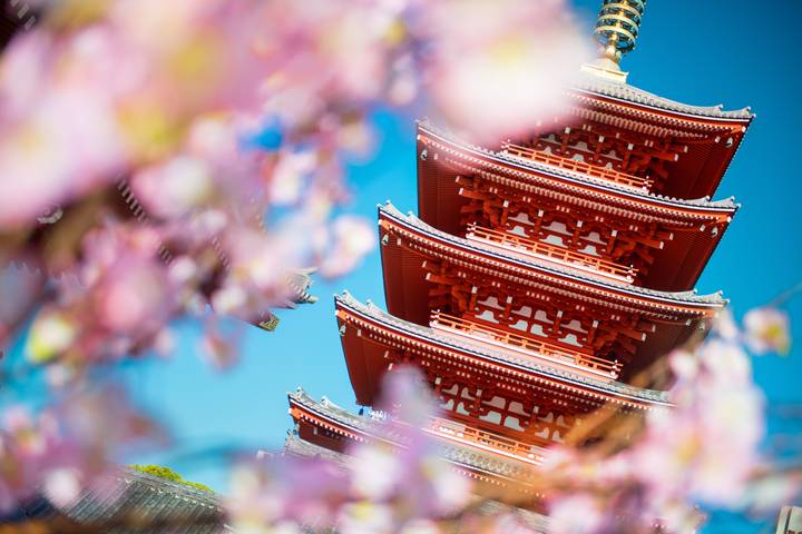 Japan Bucketlist: Konbini, Karaoke & Kawaii Culture by journaway DACH - 13-Day Tour - Tokyo: neon, shrines and convenience-store dinners