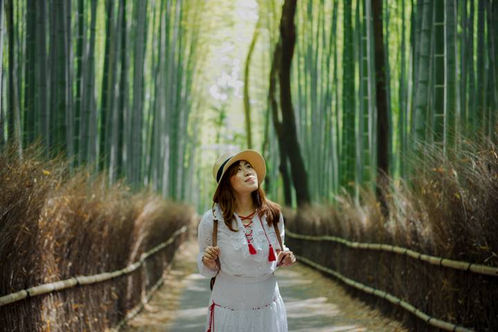 Japan Bucketlist: Konbini, Karaoke & Kawaii Culture by journaway DACH - 13-Day Tour - Osaka: street food, shopping and bright signs