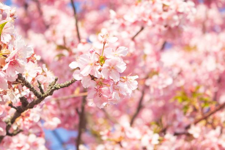 Japan Bucketlist: Konbini, Karaoke & Kawaii Culture by journaway DACH - 13-Day Tour - Who should book this Japan trip?