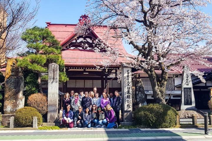 Japan Classic 14 Day - One Life Adventures - Tokyo after dark, then a fast-paced city sampler