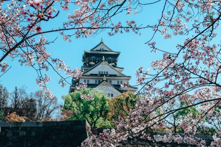 Japan Classic 14 Day - One Life Adventures - Kyoto’s shrines, gardens and Kendo lesson