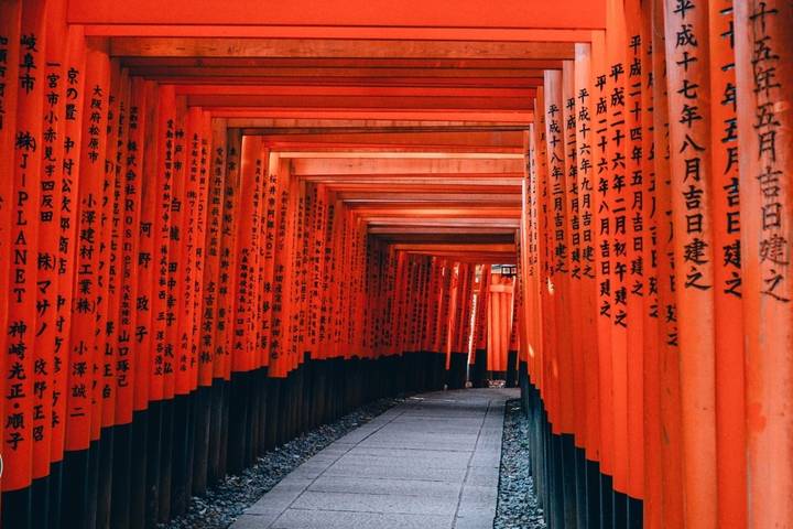 Japan Classic 14 Day - One Life Adventures - Nara’s deer, then a quiet night in Koya-san