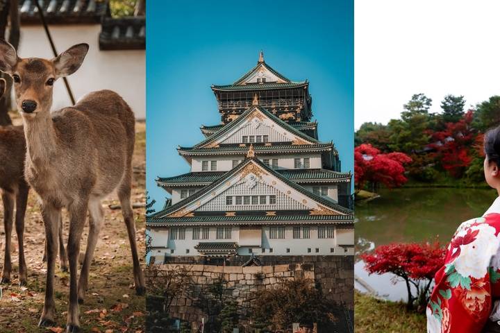 Japan Classic 14 Day - One Life Adventures - What the pace, guide and price mean in practice