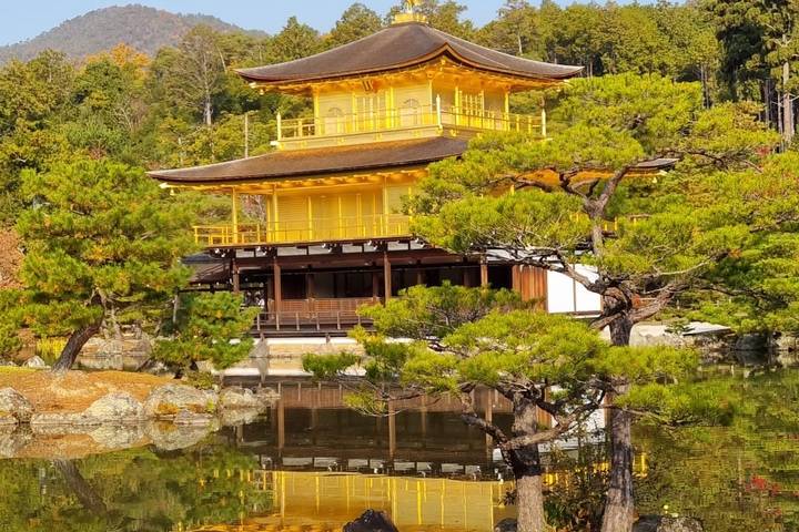 Japan Essentials 13 Day - One Life Adventures: Tokyo to Miyajima Island Review - At a glance