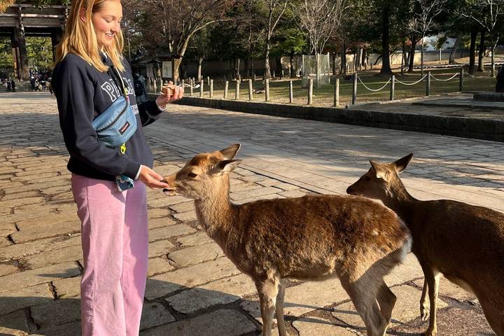 Japan Essentials 13 Day - One Life Adventures: Tokyo to Miyajima Island Review - Osaka and Nara: food, nightlife, and deer