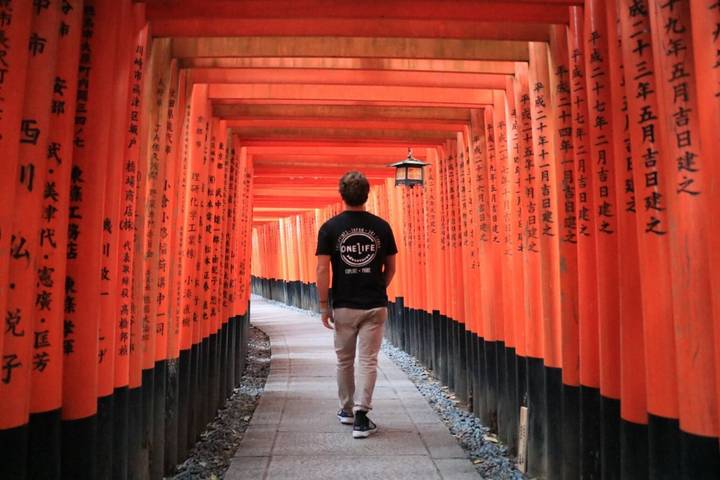 Japan Essentials 9 Day - One Life Adventures: Tokyo to Osaka Review - A fast, social route from Tokyo to Osaka