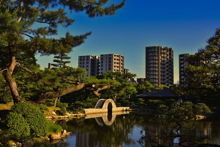 Japan Explorer 13D/12N by Bamba Travel - Tokyo to Osaka Review - A Flexible Route, Not a Guided Group March