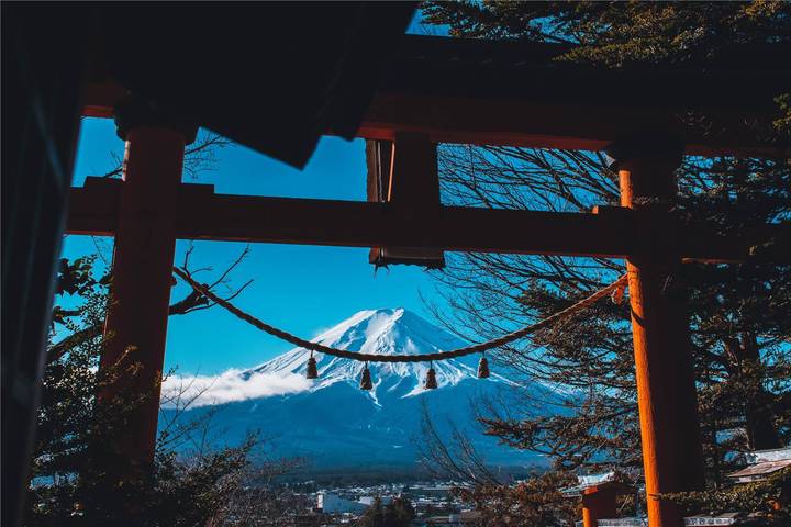 Japan Explorer 13D/12N by Bamba Travel - Tokyo to Osaka Review - Osaka: Free Time, Then a Taste of the Market