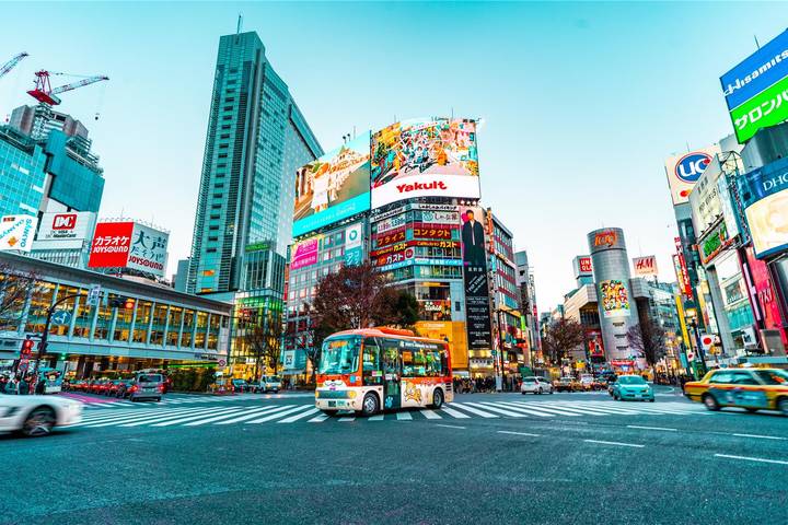 Japan Explorer 13D/12N by Bamba Travel - Tokyo to Osaka Review - Who Should Book This Japan Trip?
