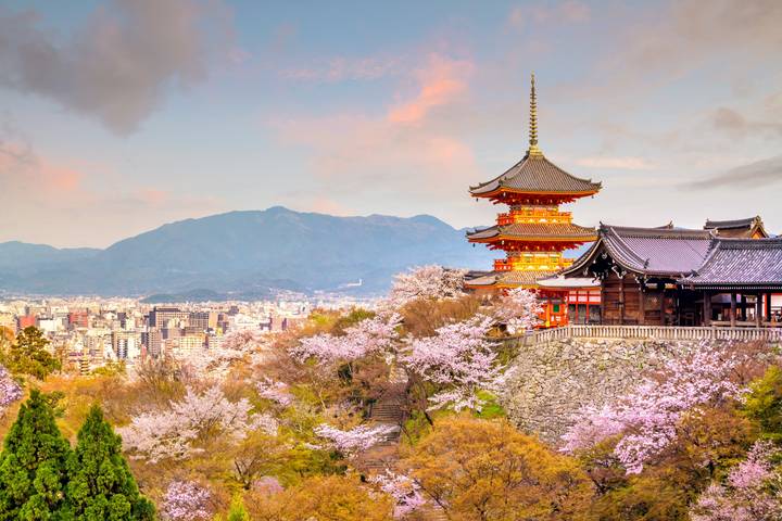 Japan Express by Intrepid Travel - 9-Day Tokyo to Osaka Tour Review - A quick, practical route through Japan