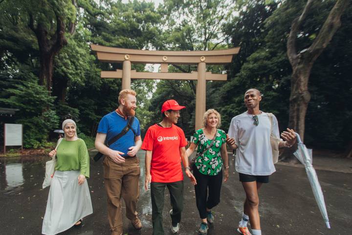 Japan Express by Intrepid Travel - 9-Day Tokyo to Osaka Tour Review - Who will enjoy this trip most