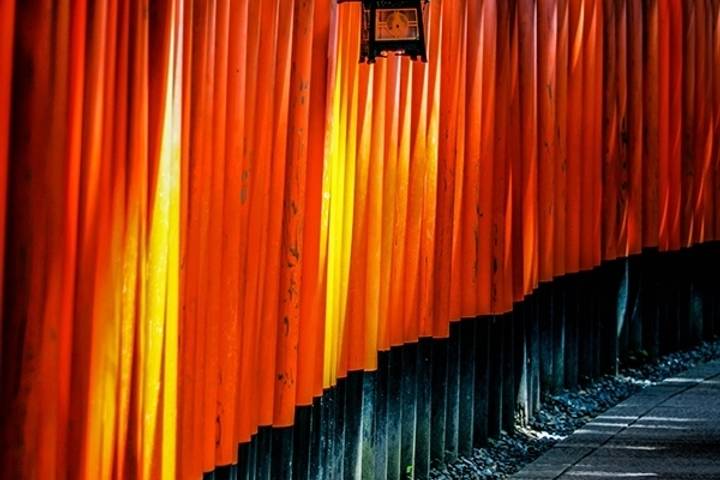 Japan Express by MW Tours - 8-Day Tokyo to Kyoto Tour Review - Three Tokyo nights, with room to choose your own city
