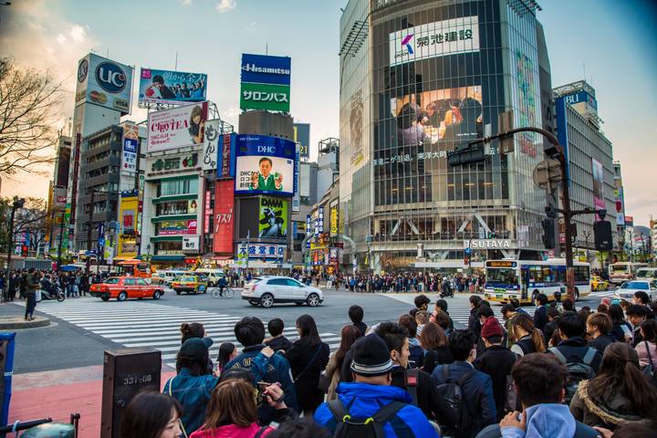 Japan Express - Osaka to Tokyo by G Adventures: 9-Day Tour Review - Kyoto: castles, geisha quarter and a forest of gates