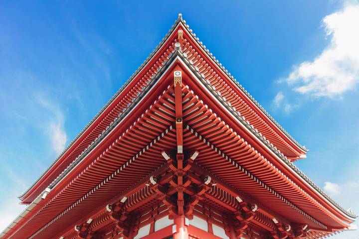 Japan Family Holiday by Intrepid Travel - 12 Days, Tokyo to Kyoto Review - Who should book this Japan family trip?