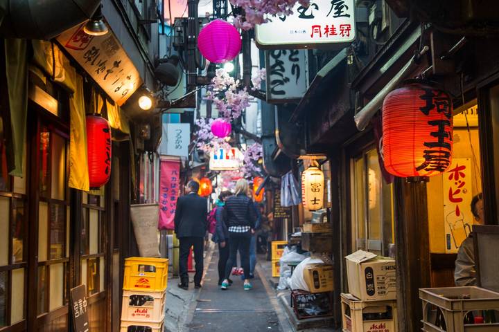 Japan Family Journey: From Ancient to Modern Times National Geographic - 11 Days - What makes this Japan family tour distinctive