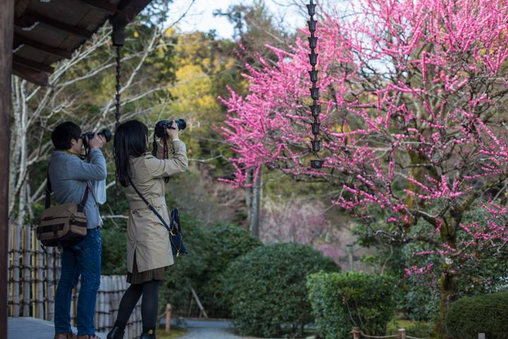 Japan Family Journey: From Ancient to Modern Times National Geographic - 11 Days - What the price covers, and what it does not
