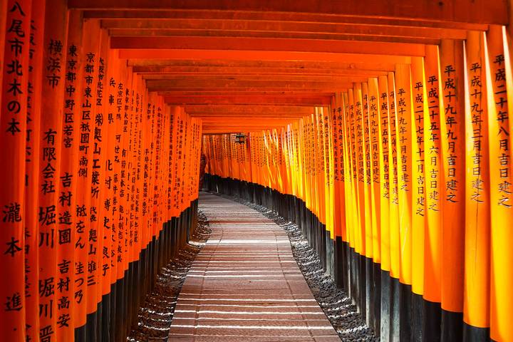 Japan Family Tour: Shrines & Nakasendo Trail by Odynovo - 15 Days Review - Mt. Fuji, Hakone and Nagoya’s machines
