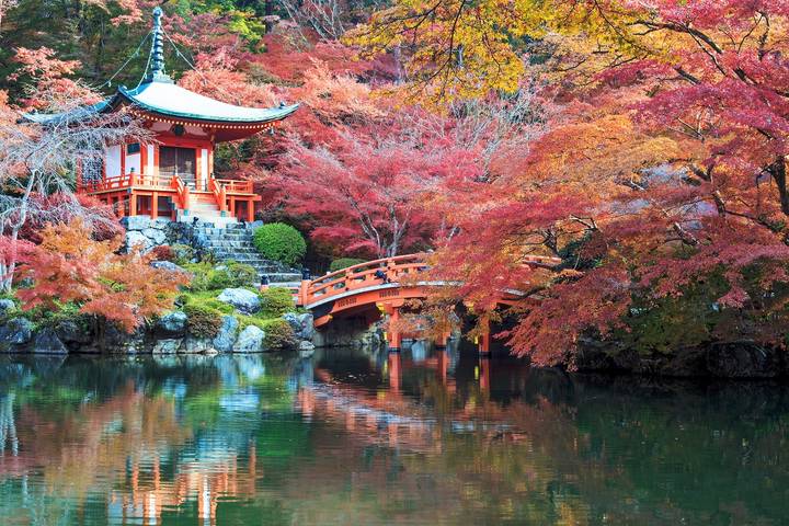 Japan Festivals by Knutson Travels - 4-Day Tokyo to Hiroshima Tour Review - Tokyo to Kyoto by bullet train