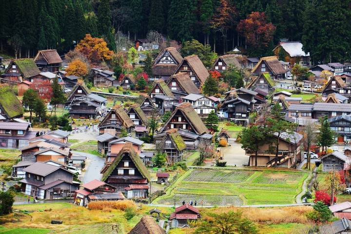Japan: From neon light to monk chanting by journaway DACH - 14-Day Tour Review - Tokyo starts with neon, temples and room to roam