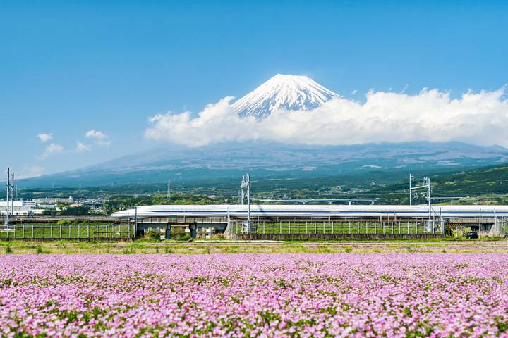 Japan: From neon light to monk chanting by journaway DACH - 14-Day Tour Review - Himeji and Hiroshima make a long, meaningful day