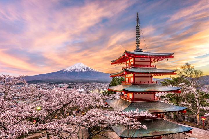 Japan, Great Discovery by Wingbuddy - 13 Days, Tokyo to Osaka Review - A Japan route that trades depth for range