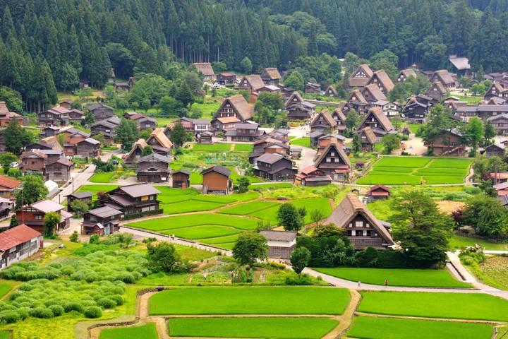 Japan, Great Discovery by Wingbuddy - 13 Days, Tokyo to Osaka Review - FAQ