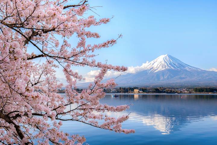 Japan, Great Discovery by Wingbuddy - 13 Days, Tokyo to Osaka Review - Tokyo by subway, sushi, and neighborhood