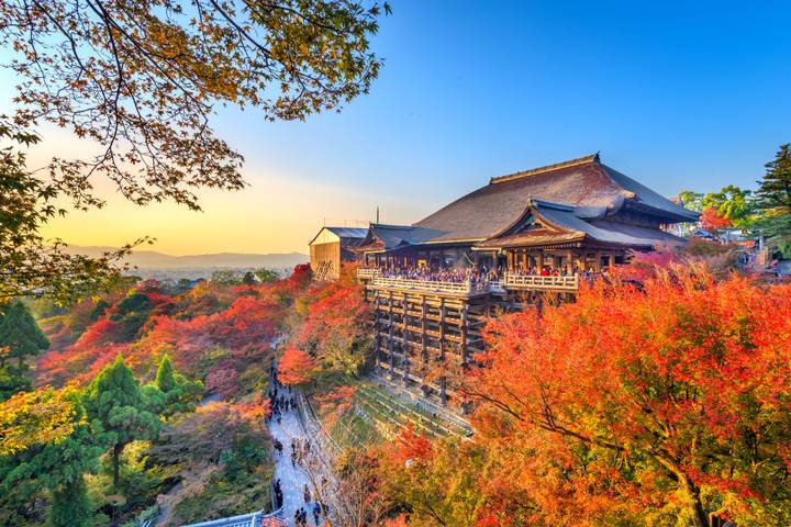 Japan, Great Discovery by Wingbuddy - 13 Days, Tokyo to Osaka Review - Takayama and Shirakawago’s timber houses